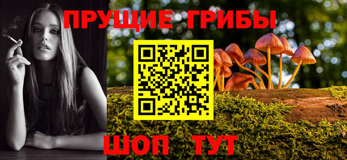 Галлюциногенные грибы MAGIC MUSHROOMS Кунгур